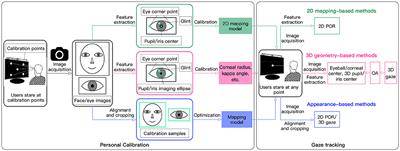 A review on personal calibration issues for video-oculographic-based gaze tracking